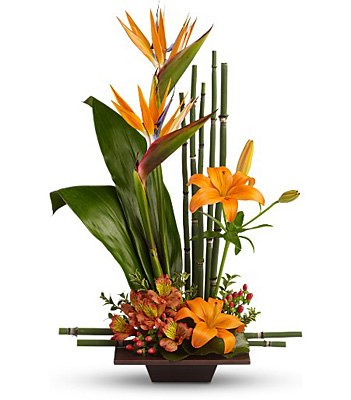 Teleflora's Exotic Grace